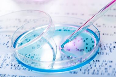 ADPG焦磷酸化酶活性檢測(cè)試劑盒圖1