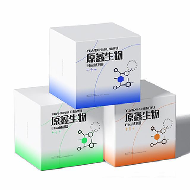 ADPG焦磷酸化酶活性檢測(cè)試劑盒